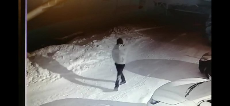 Поджигатель Мерседеса в Новосибирске попал на камеры видеонаблюдения