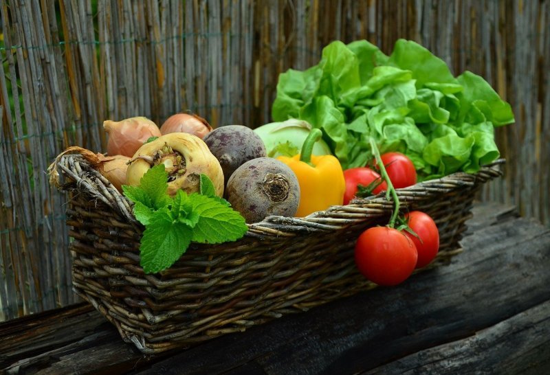 Школьникам в Новосибирской области запретили есть салаты из свежих овощей