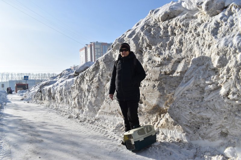 «Лень, расхлябанность и безответственность»: Знатков устроил публичный разнос вице-мэру за уборку снега