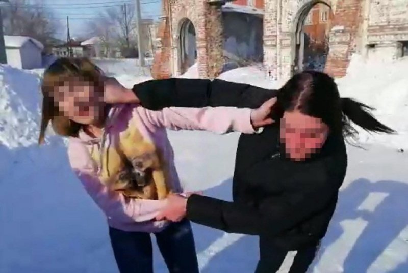 Назвала «недевственницей»: в Татарске подрались две школьницы 