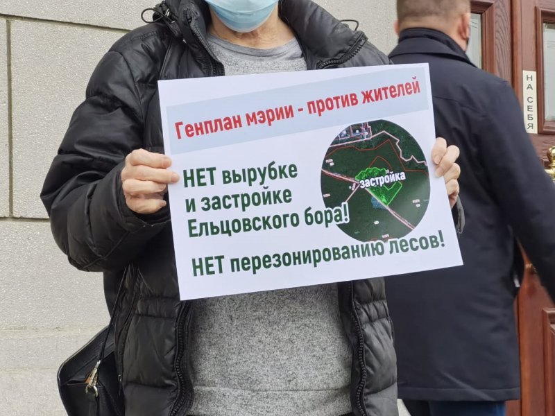 Новосибирские экоактивисты собирают подписи за спасение леса