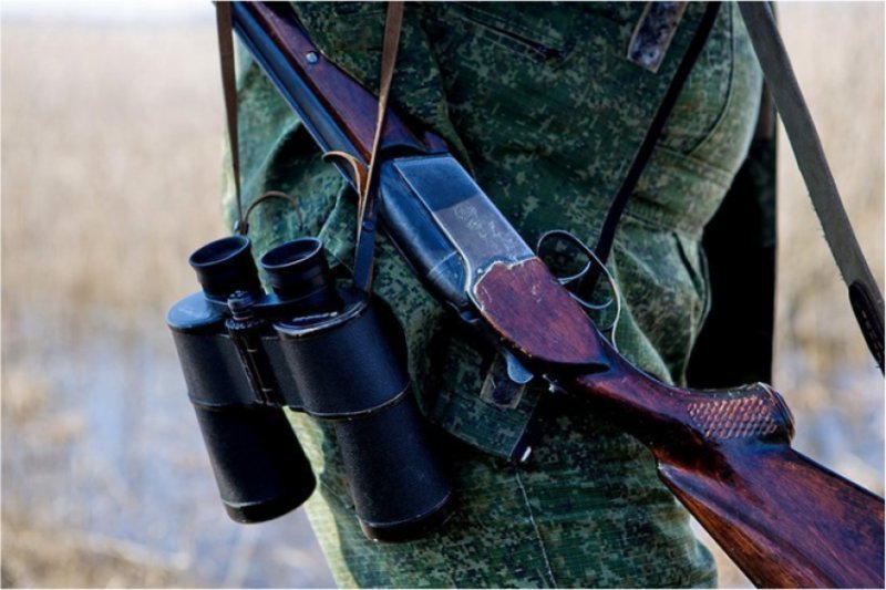Две убитых косули оценили в 80 тысяч рублей: в Куйбышевском районе задержали браконьера