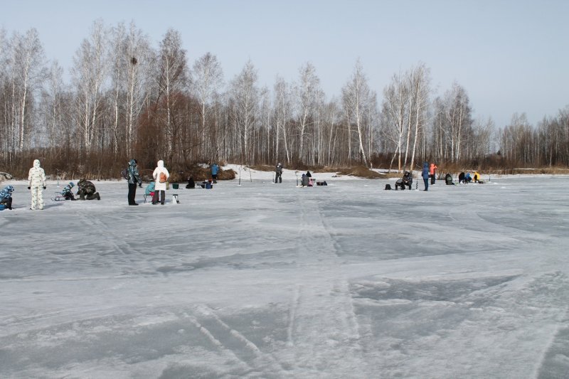 Где весной порыбачить на удочку: пять лучших мест в Новосибирске