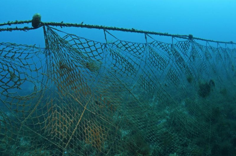 35 килограммов рыбы спасли из сетей на озере Яркуль инспекторы рыбоохраны