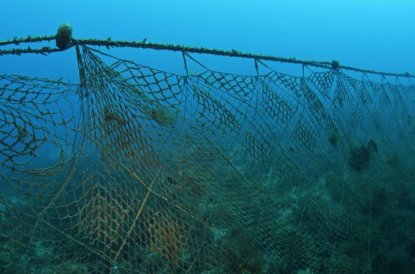 35 килограммов рыбы спасли из сетей на озере Яркуль инспекторы рыбоохраны