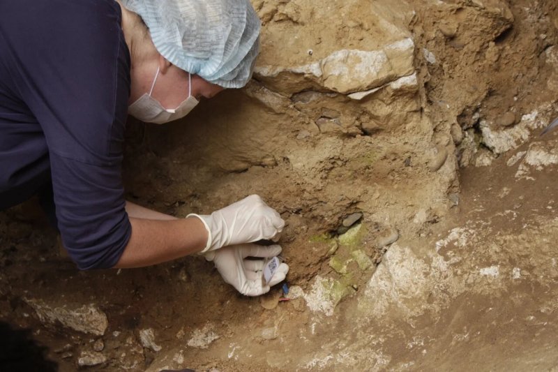 Новосибирские антропологи впервые смогли расшифровать ядерную ДНК неандертальца по образцу из грунта