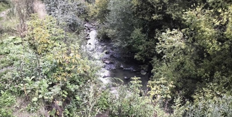 Река Ельцовка-1 загрязнена опасными для здоровья человека металлами