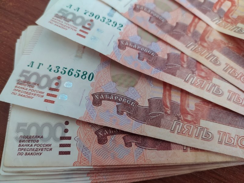 Деньги богачей пересчитали в Новосибирской области