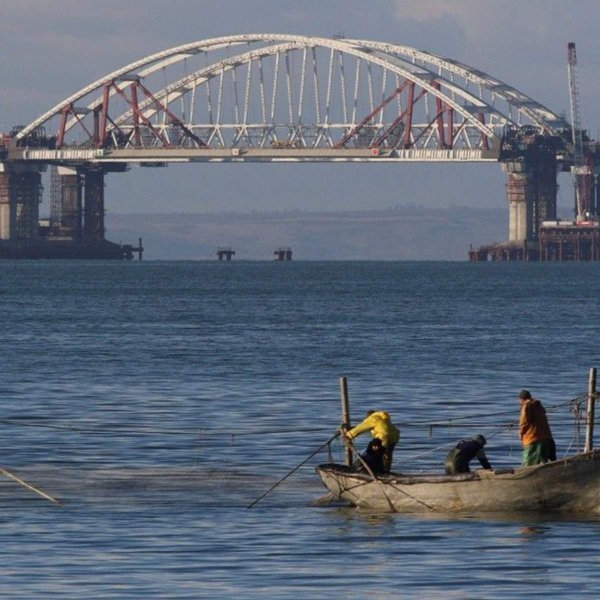 Катастрофа не за горами: Крымский мост атаковали медузы-мутанты и мигрирующие рыбы 