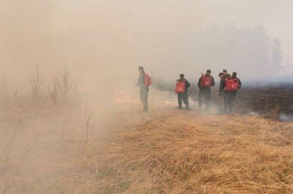 Бороться с предрассудками сжигающих старую траву фермеров призвал губернатор Травников