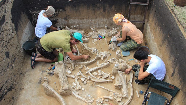 Сибирские ученые нашли «матрешку» из палеолита на кладбище мамонтов