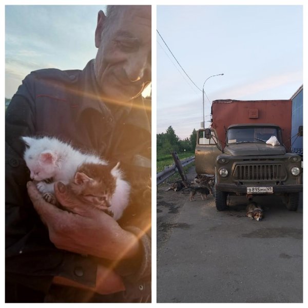 Новосибирцы пришли на помощь пенсионеру, который застрял на станции Мочище с семью собаками без денег