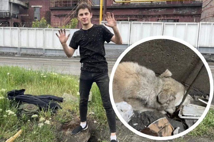 Пятимесячного щенка спасли из колодца в Первомайском районе