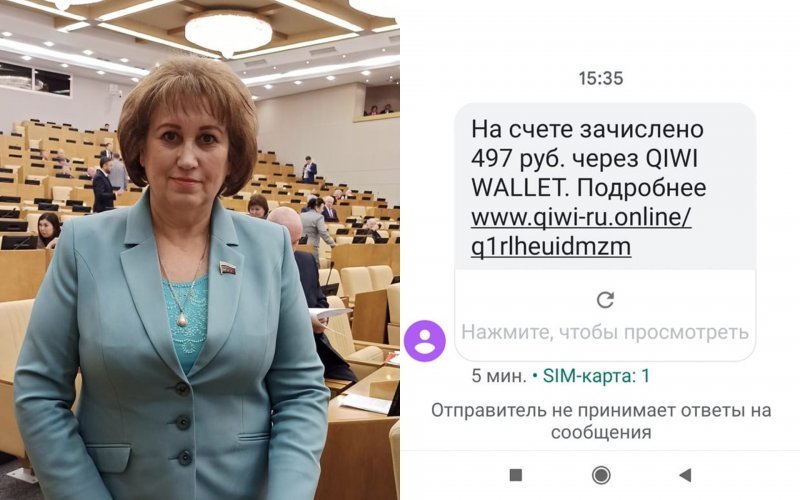 Депутат Госдумы Веря Ганзя заподозрила провокацию в денежном переводе