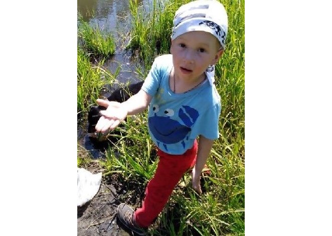 В лесу под Новосибирском потерялся четырехлетний ребенок