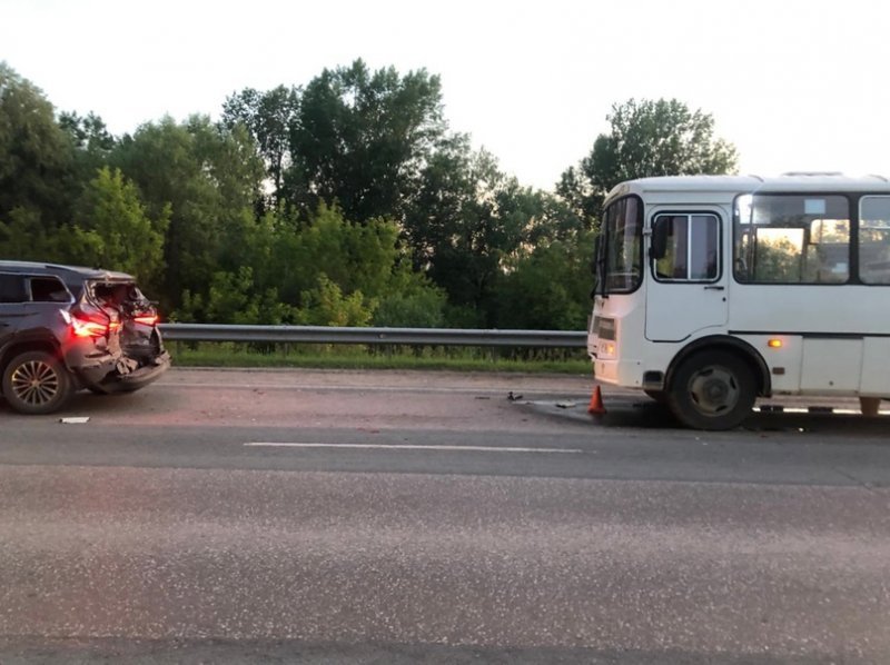 Из-за уточек пострадали в ДТП с автобусом пять пассажиров под Новосибирском (ВИДЕО)