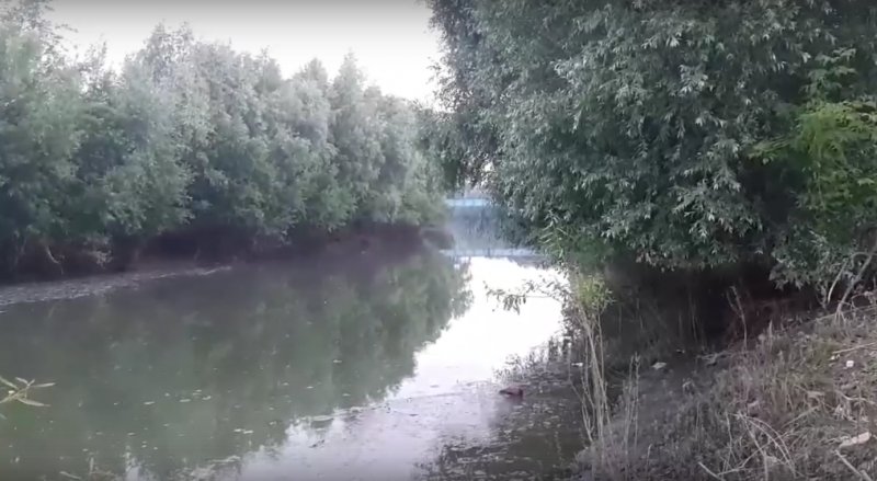Жители Кировского района опять сообщили о сбросе нефтепродуктов в реку Тула
