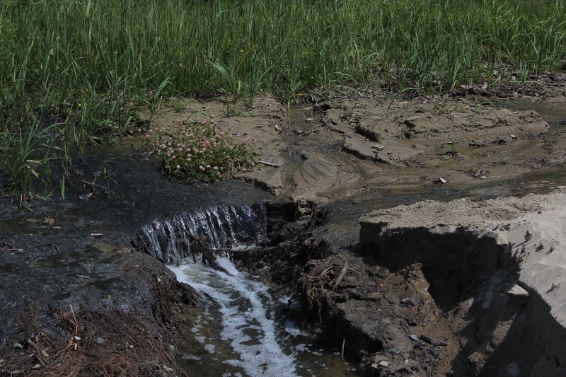 Поток фекалий перестал стекать в Новосибирское водохранилище, но купаться пока нельзя