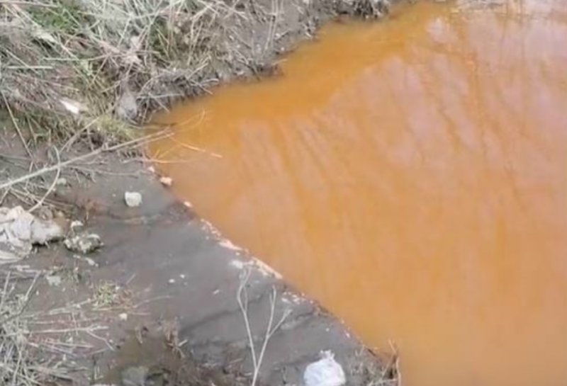 Росприроднадзор назвал Чкаловский завод виновным в загрязнении реки Каменка в Новосибирске
