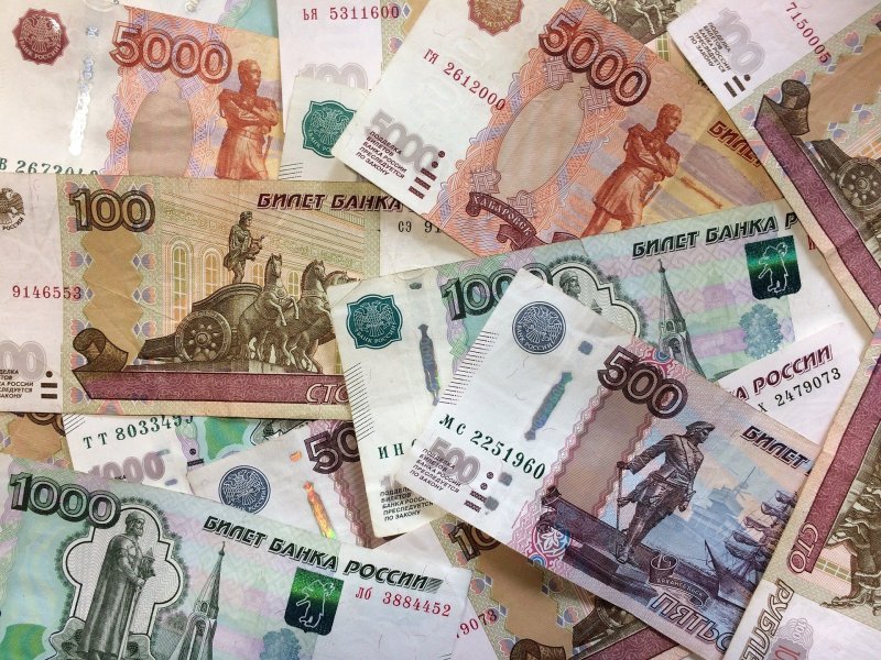 Бухгалтер обналичила 11 млн рублей в виде зарплаты мертвым душам под Новосибирском