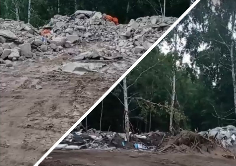 Новосибирцев шокировала свалка строительных материалов в лесу (ВИДЕО)