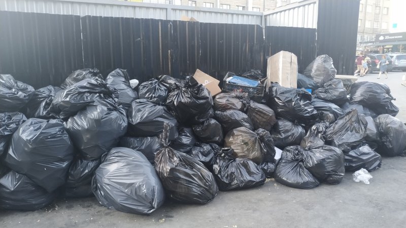 По сбору мусора Новосибирская область вошла в пятерку самых чистых регионов России