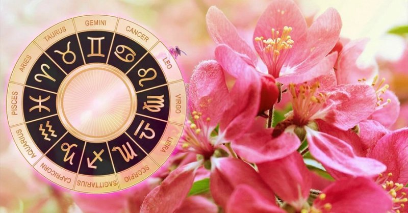 Гороскоп на 1 августа 2021 года для всех знаков зодиака: прогноз от астрологов