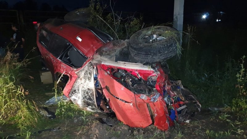 Водитель ретро-автомобиля скончался после наезда на ЛЭП под Новосибирском