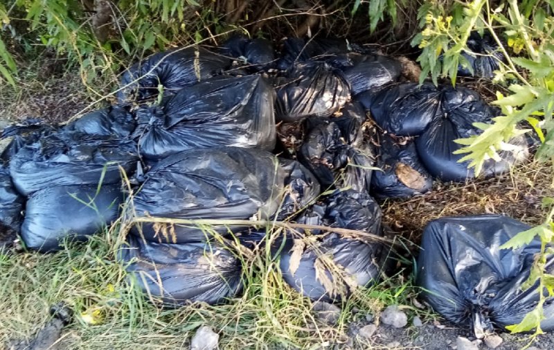 Шокирующая находка: новосибирцы обнаружили десятки пакетов с трупами