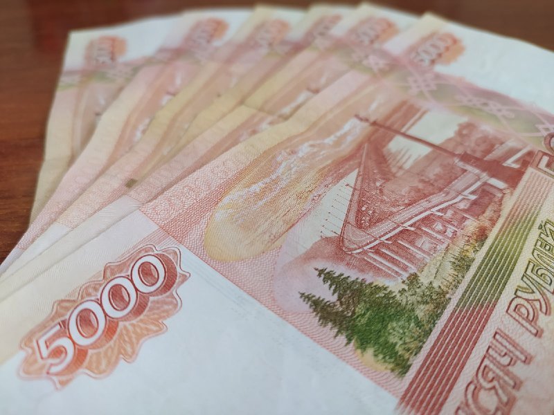 Средняя зарплата в Новосибирской области выросла до 48 261 рубля