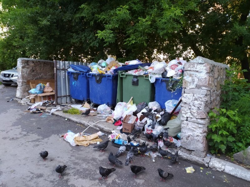 Прокуратура возбудила дело на «Экологию-Новосибирск» из-за заваленного мусором центра города