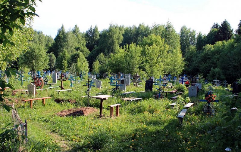 Смертность резко превысила рождаемость в августе 2021 года в Новосибирской области