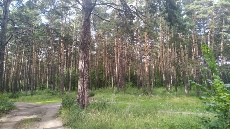 Закон «Об особо охраняемых природных территориях» в Новосибирске суд признал частично недействующим