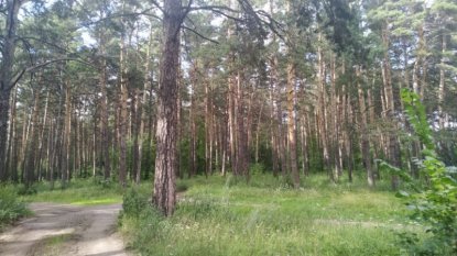 Закон «Об особо охраняемых природных территориях» в Новосибирске суд признал частично недействующим