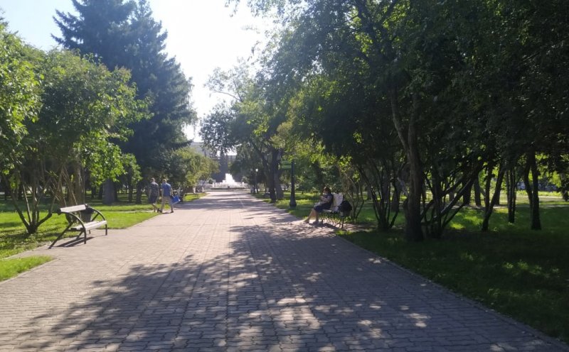 Массовые рубки деревьев в Первомайском сквере объявила мэрия Новосибирска