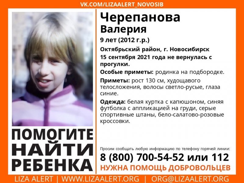 Девятилетняя девочка пропала после прогулки в Новосибирске
