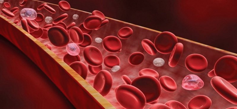 Склонности по группе крови: что нового можно узнать о человеке