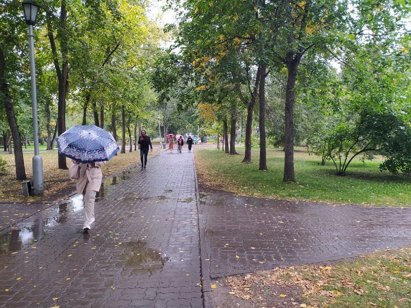 Новосибирск обогнал Санкт-Петербург по количеству дождей