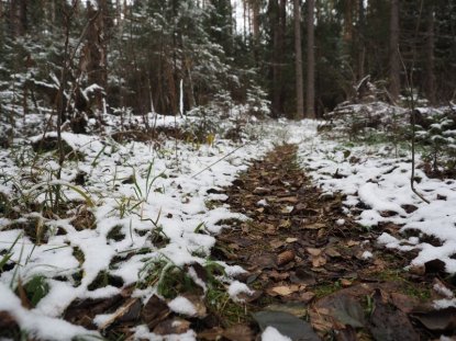 «Выходные – не фонтан»: Новосибирскую область завалит снегом