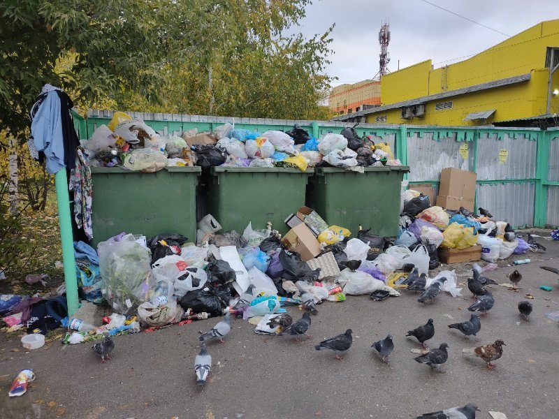 Жители Искитима устроили флешмоб с фотографиями заваленных мусором контейнерных площадок