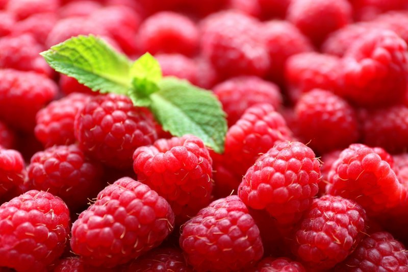 Какие ягоды помогают разжижать кровь в организме человека