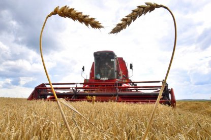 Новосибирская область соберет рекордный урожай зерна и на треть увеличила его экспорт