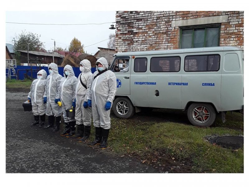 Техника для погрузки трупов готова: учения по борьбе с гриппом прошли в Новосибирской области