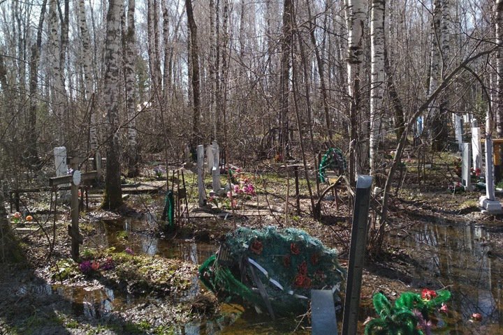 За долги по алиментам новосибирца отправили на кладбище