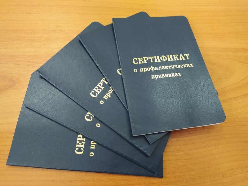 В Новосибирской области возбудили 17 уголовных дел из-за продажи справок о прививке от COVID-19