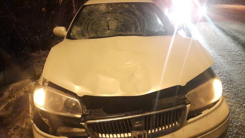 Молодой водитель на Ниссане насмерть сбил пешехода в Затоне