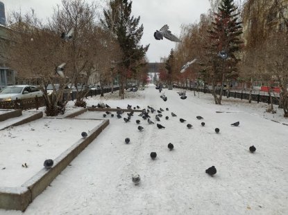 Морозы до –20 градусов вернутся в Новосибирск