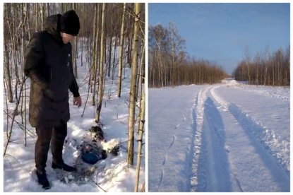 Партию наркотиков на 20 миллионов изъяли в лесу под Новосибирском