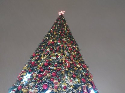 В Новосибирске начали устанавливать новогоднюю елку на площади Ленина