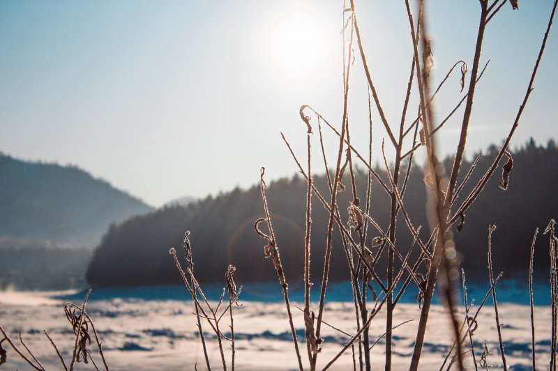 Зима в Новосибирской области начнется с резкого потепления